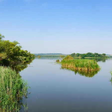 דירה In - Thermalbad 20673 *